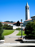 Campanile and Meadow