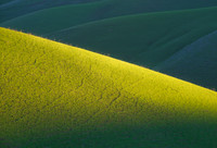 Green Slope