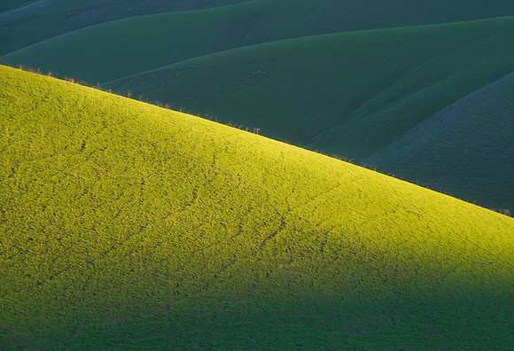 Green Slope
