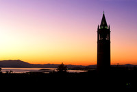 UC Berkeley Sunset