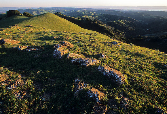 Las Trampas View