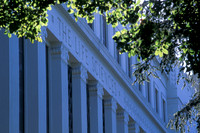 Life Sciences