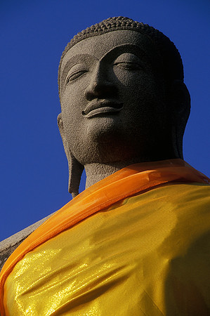 Buddha In Yellow