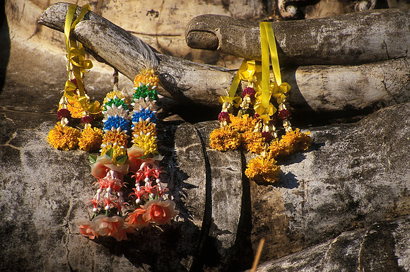 Hand Flower Offering