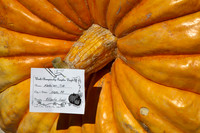 Pumpkin World Championships