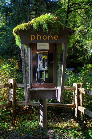 Phone Moss