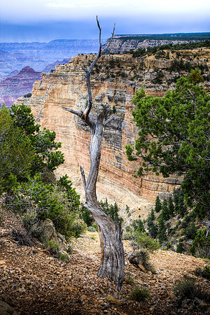 Lone Pine