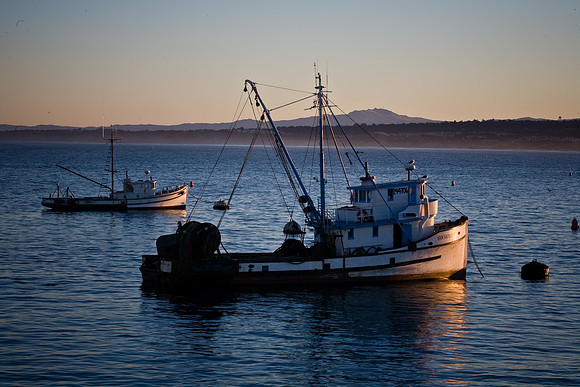 Boats at Dawn