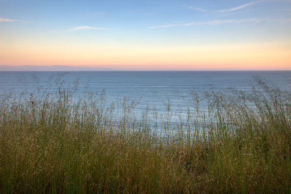 Pacific Grasses