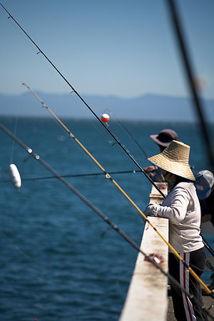Pier Fishing 3