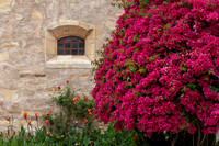 Colorful Wall
