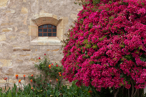 Colorful Wall