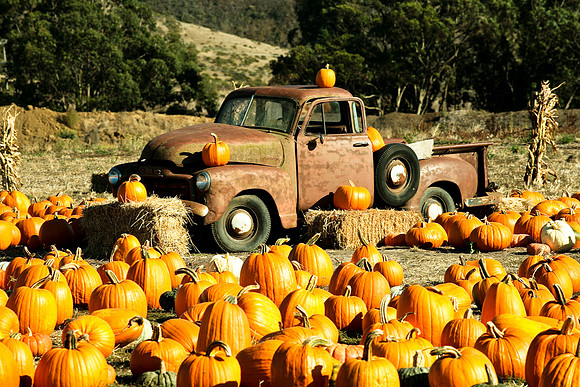 Pumpkin Truck