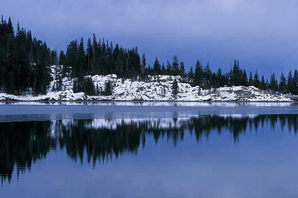 Snow Shore