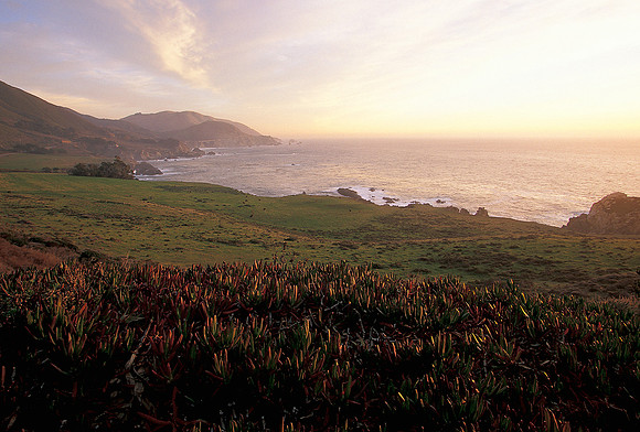 Big Sur Coast