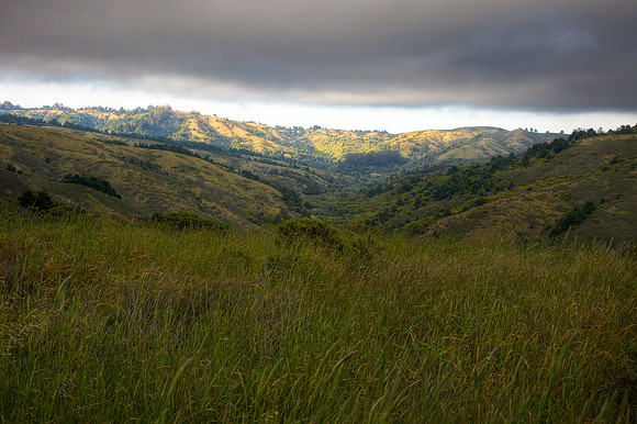 Fog on Mount Tam