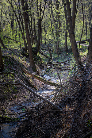 Stream HDR