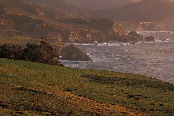 Big Sur Pastures