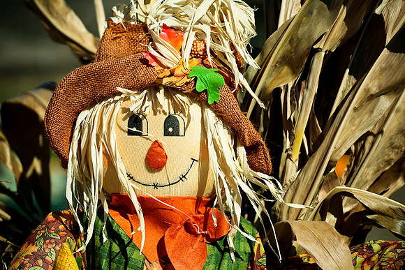 Pleasant Scarecrow
