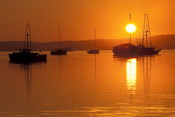 Morro Bay Orange
