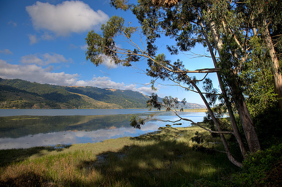 Bolinas Lagoon
