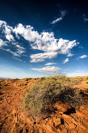 Desert Color