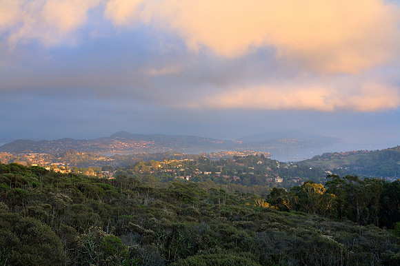 Tiburon Sunset