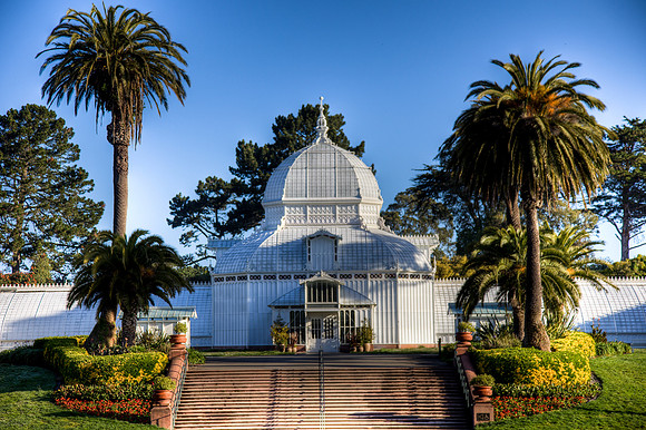 Conservatory of Flowers 2