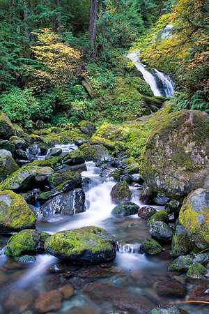 Rainforest Waterfall