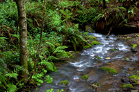 HDR Stream