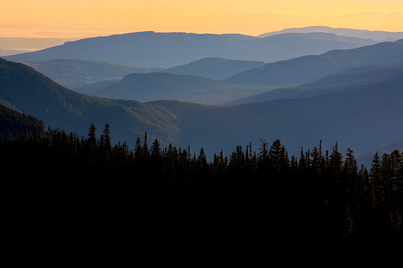 Hurricane Ridge