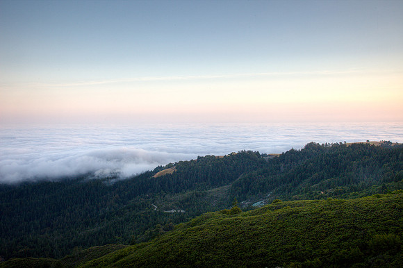 Pacific Fog