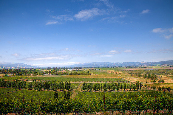Wine Country HDR