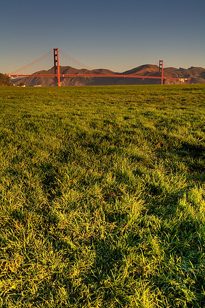 Crissy Field