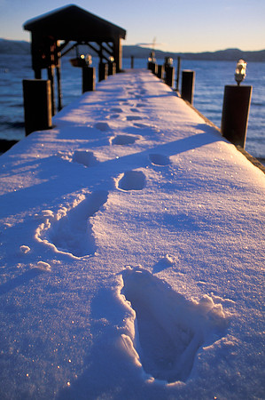 Winter footprints