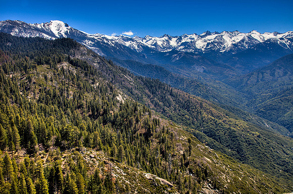 Sequoia Backcountry