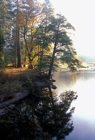 Morning River