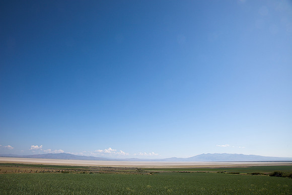 Honey Lake