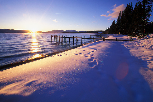 Tahoe Shore