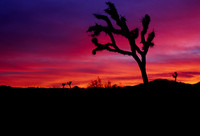 Southern California