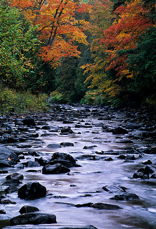 Rushing Water