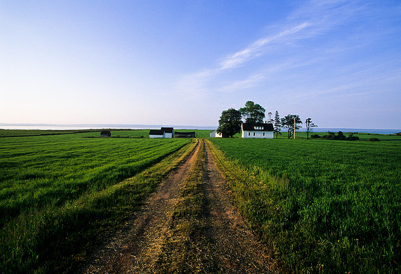 Green Farm