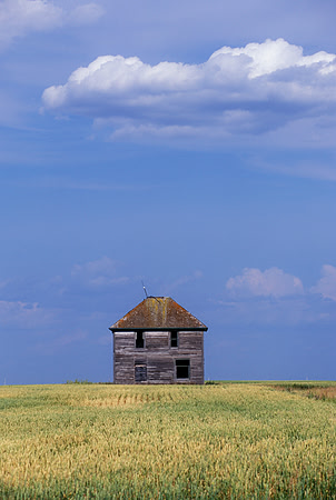 Abandoned House