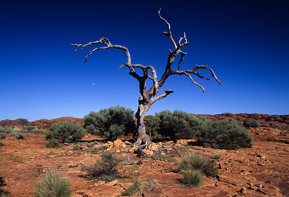 Kings Canyon