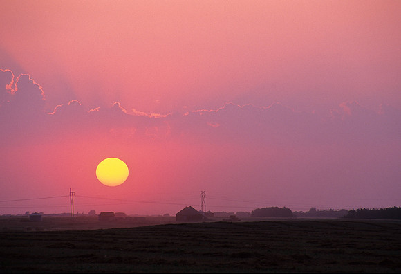 Evening Sun