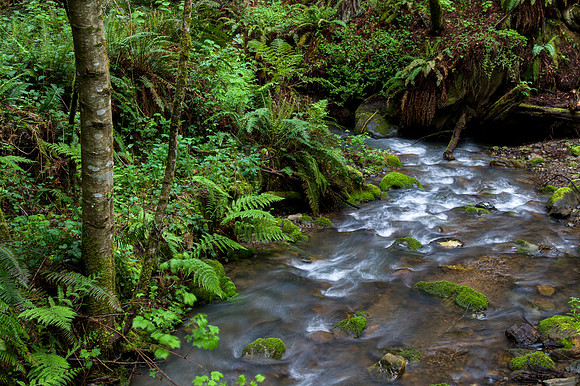 HDR Stream