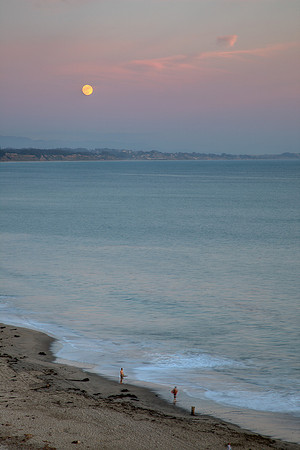 Moonlight Surfers