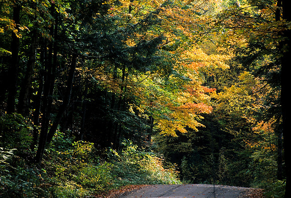 Yellow Road