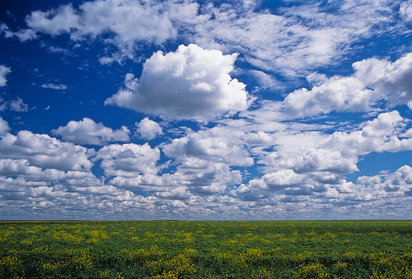 Living Skies
