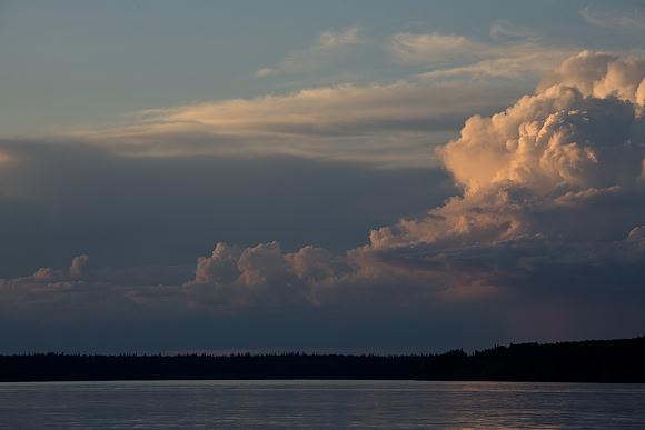 Brewing Storm